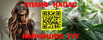 амф Новокубанск