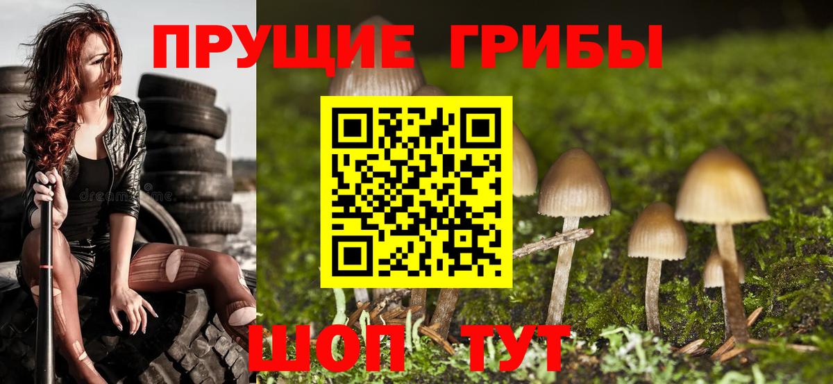Псилоцибиновые грибы Psilocybine cubensis  Вход с VPN  купить наркоту  Владимир 
